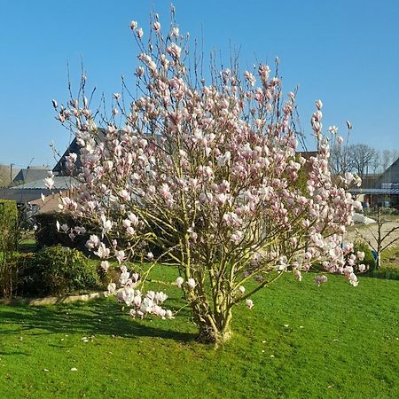 Appartamento L'Abri Des Ames Gerponville Esterno foto